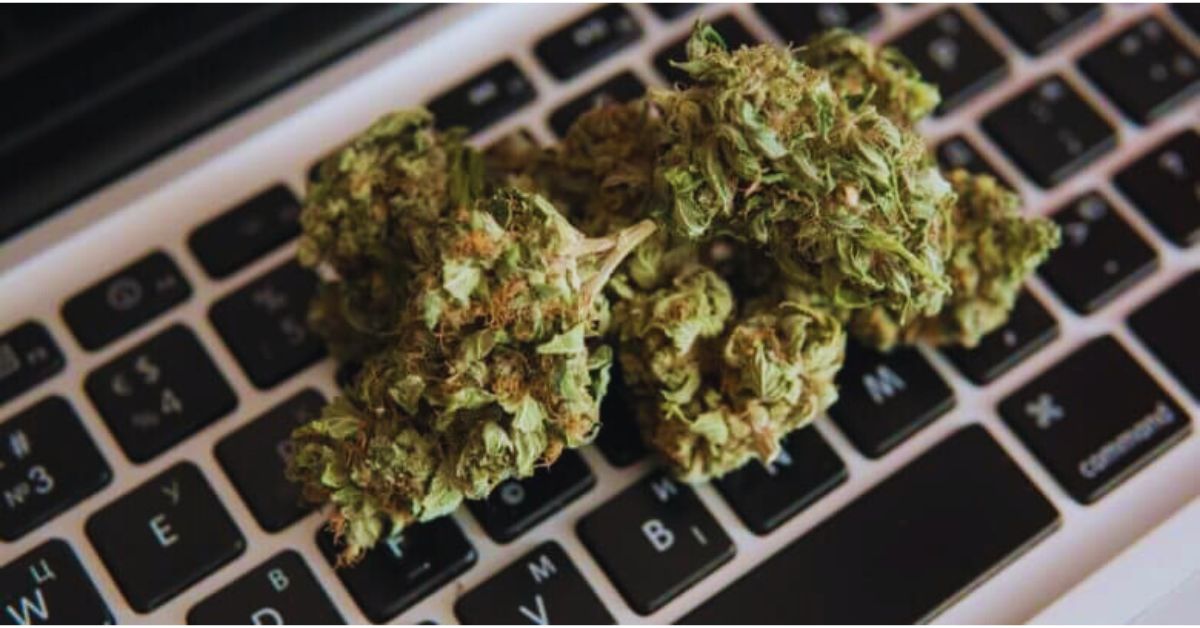 Which are the best dispensary websites?