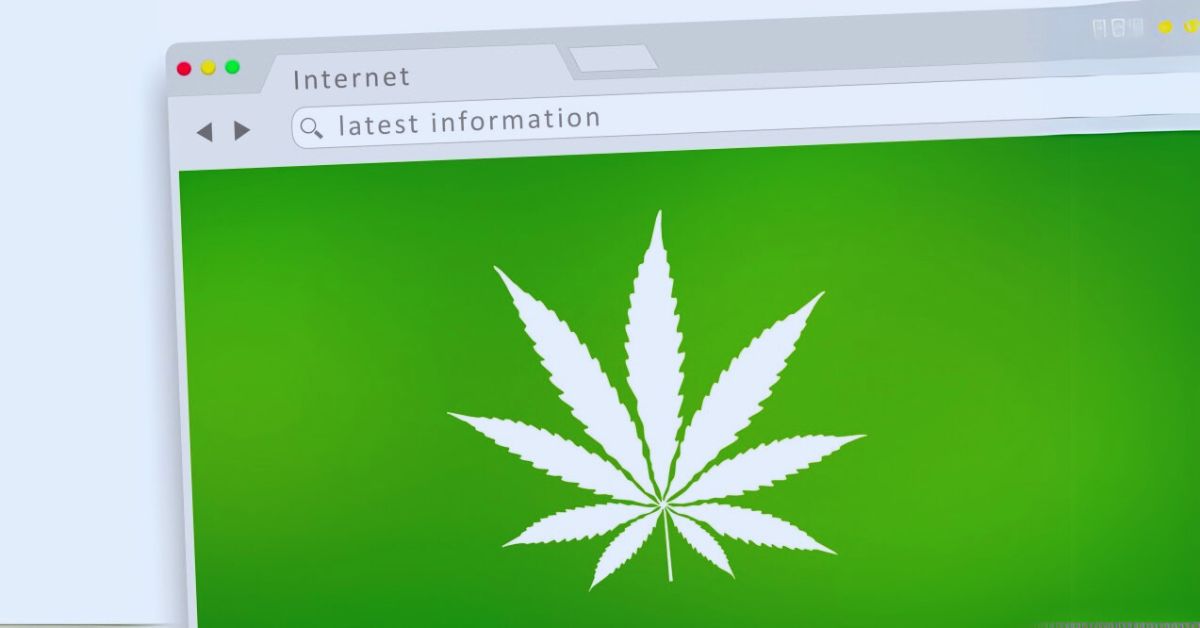 Open-Source Website Platforms for Your Cannabis Website