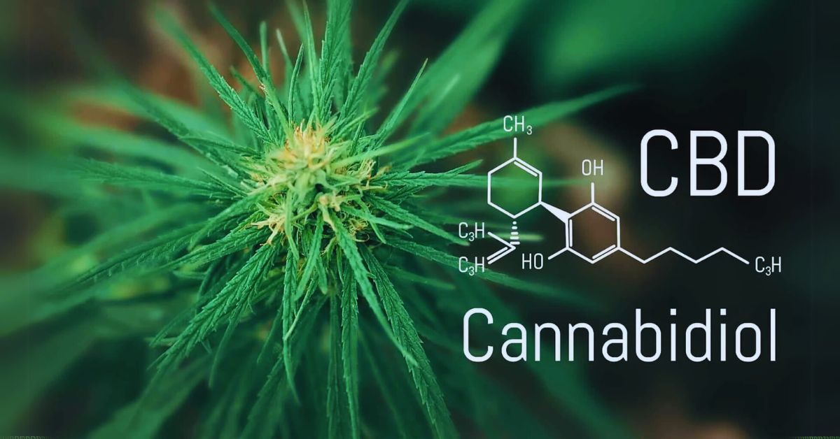 CBD & Cannabis Digital Advertising