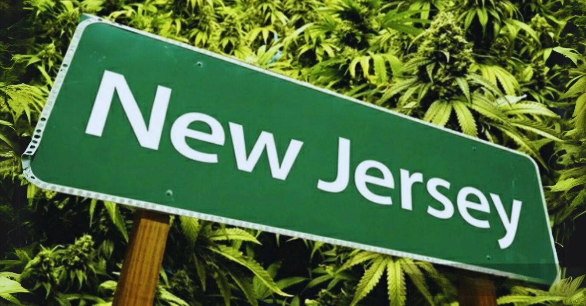 Cannabis Business in New Jersey