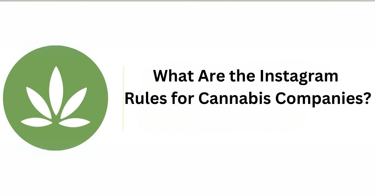 What Are the Instagram Rules for Cannabis Companies?