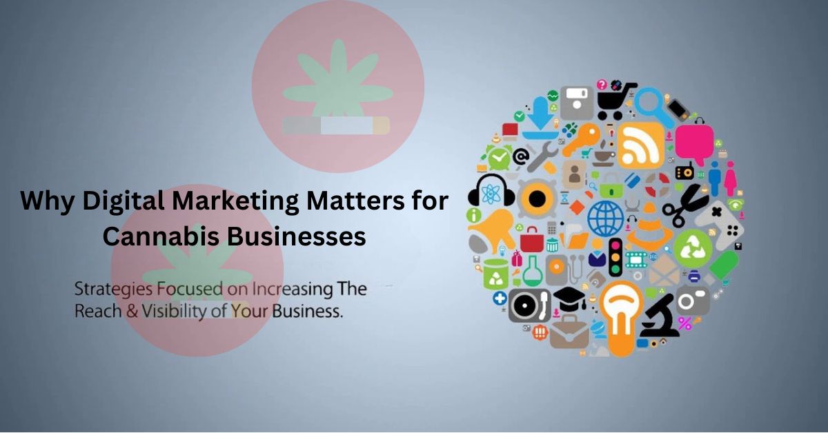 Why Digital Marketing Matters for Cannabis Businesses?