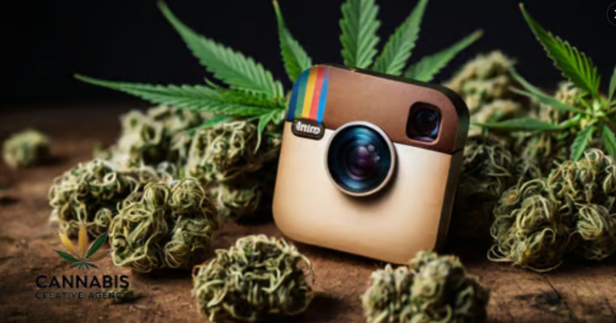 Instagram Threads for Cannabis Businesses