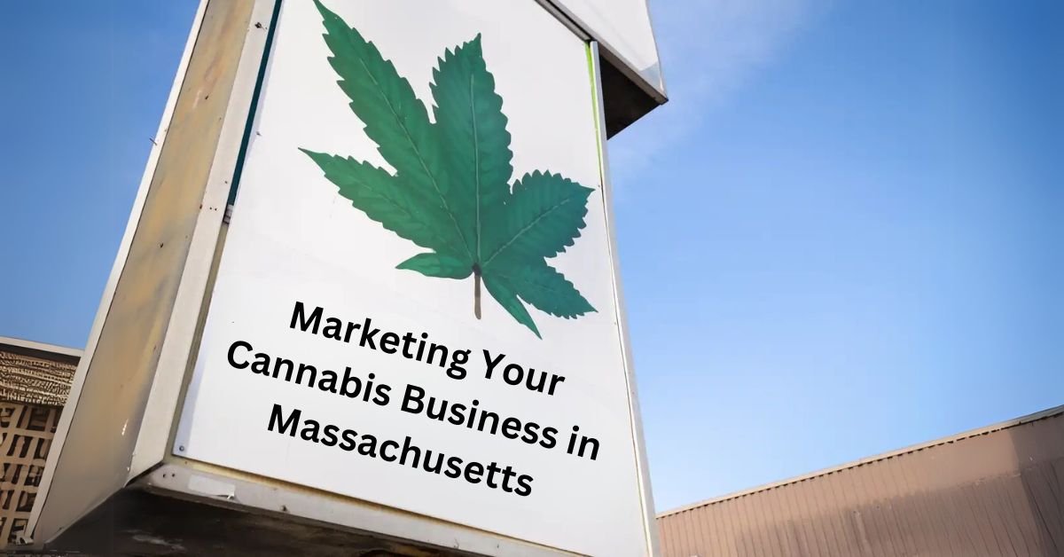 Marketing Your Cannabis Business in Massachusetts