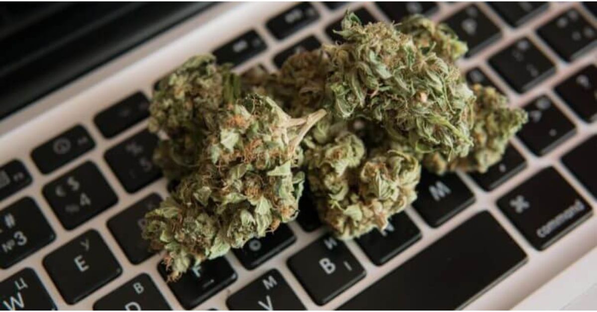 How Much Does It Cost to Open a Dispensary in New York?