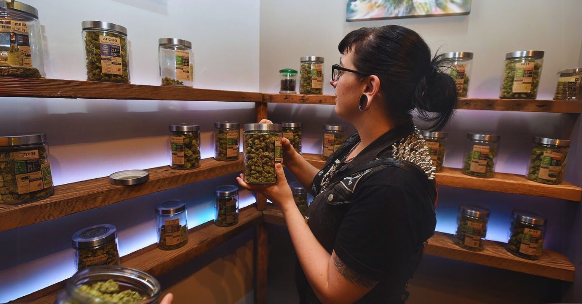 Cannabis Dispensary Marketing in New York