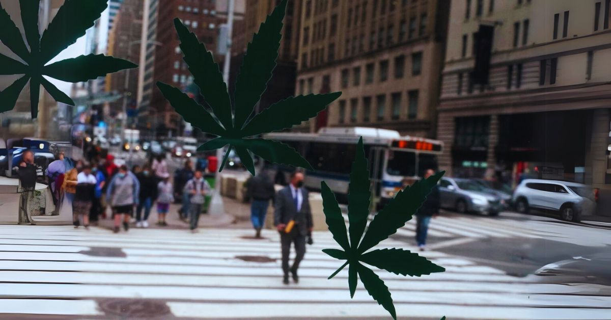 Are There Differences Between NYC Cannabis Marketing and NYS Cannabis Marketing?