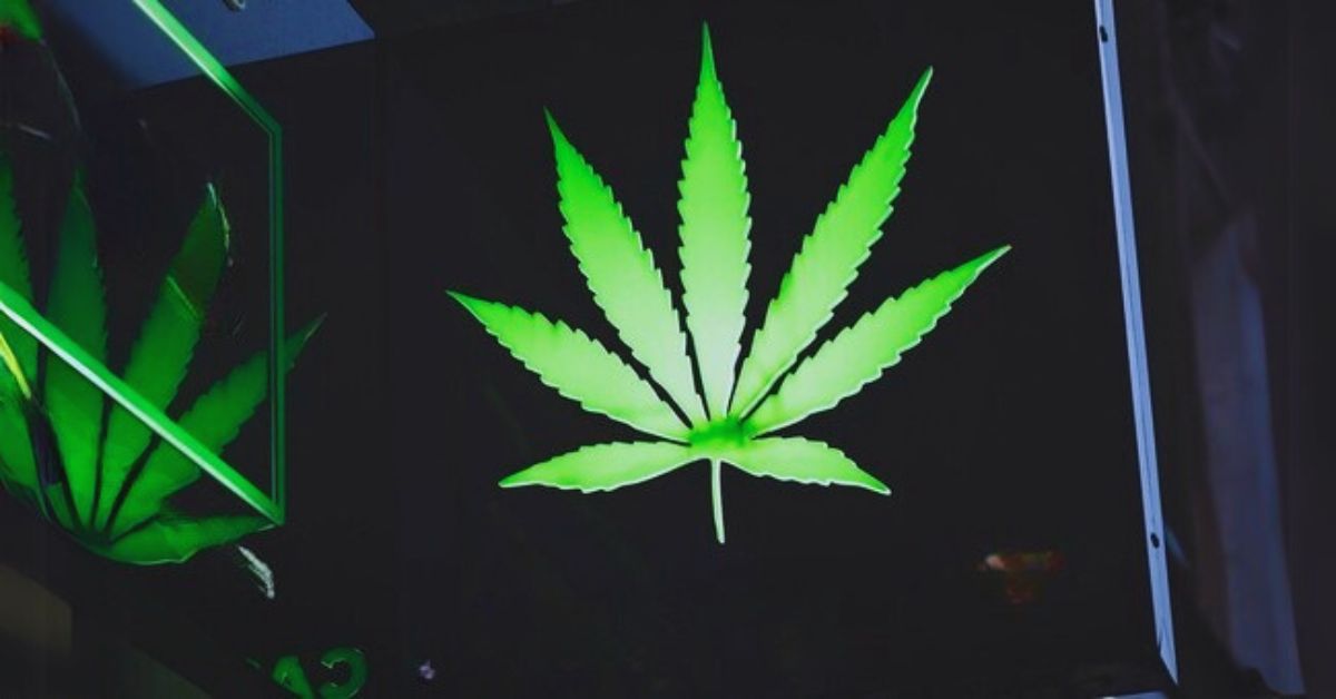 Selecting the Right Cannabis Creative Agency for Your Brand