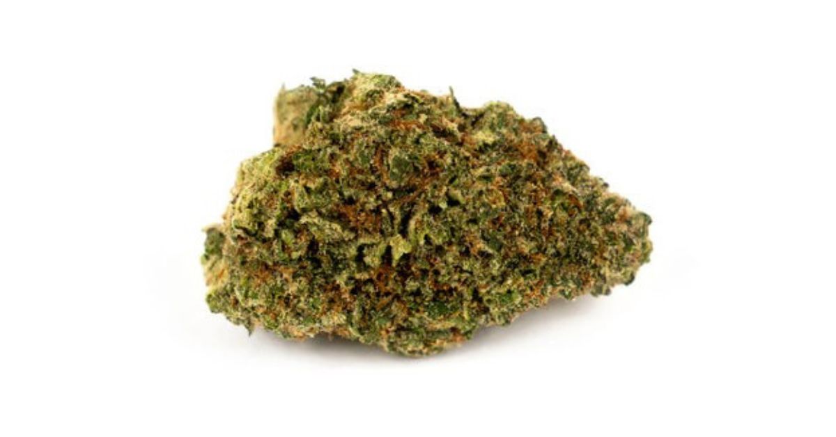 King Louis XIII Strain Review