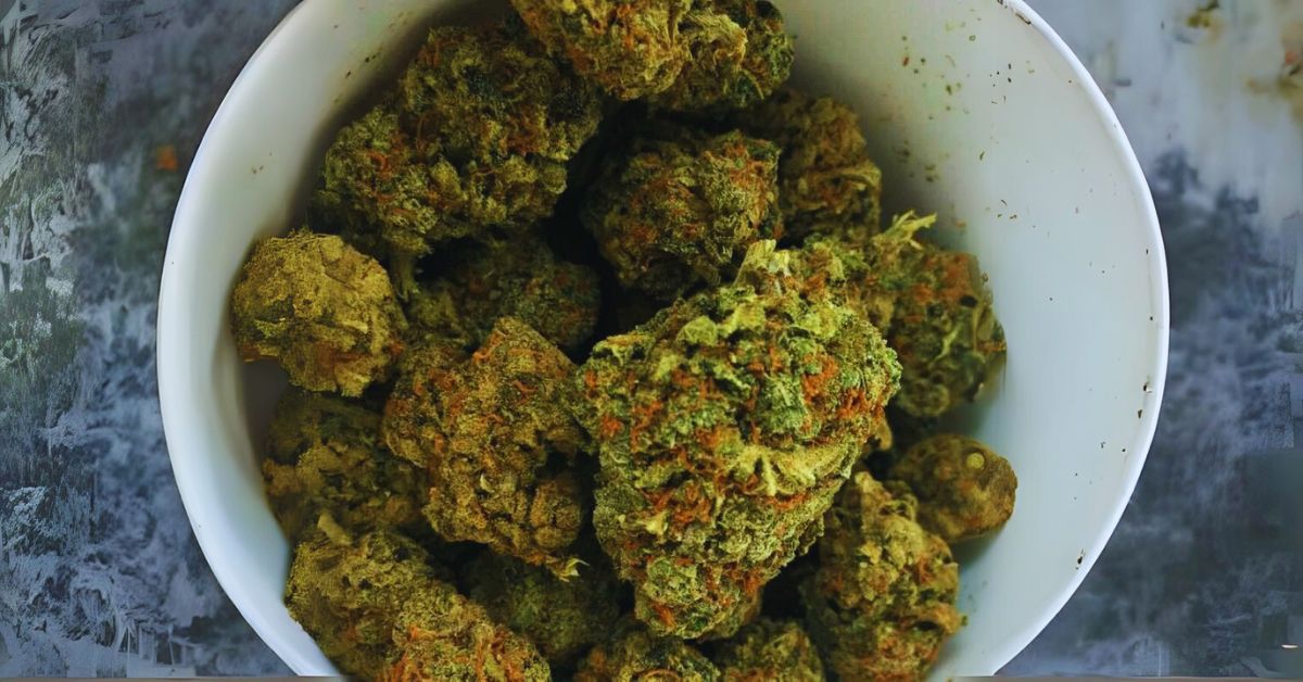 Why Choose the Blue Cheese Strain?