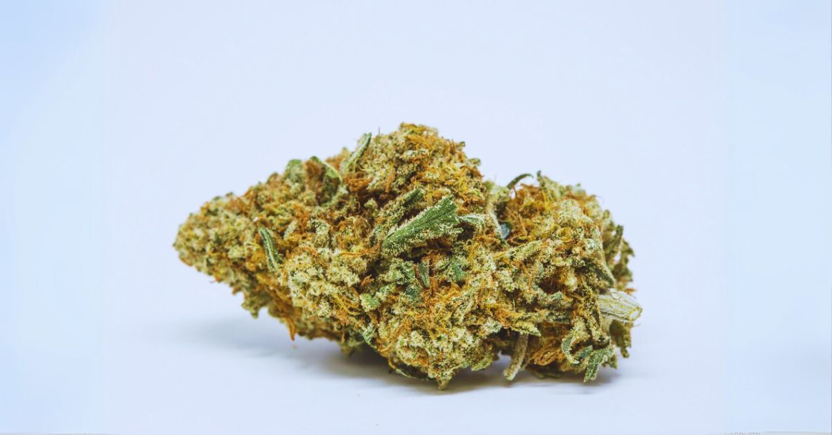 How is Pineapple Express Compared with Other Strains?