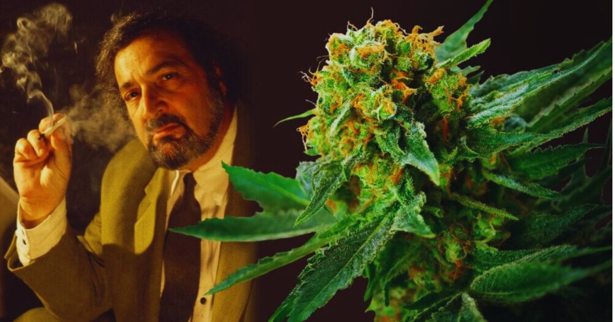 Who is Jack Herer?