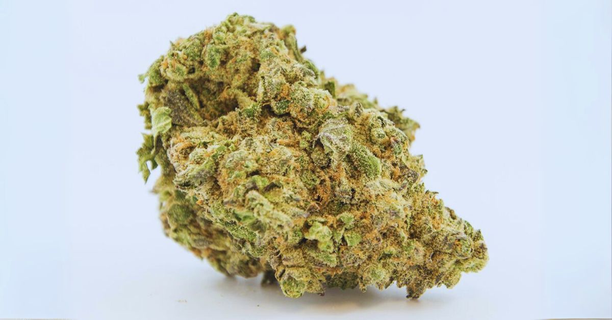 What Does the Jack Herrer Strain Taste Like?