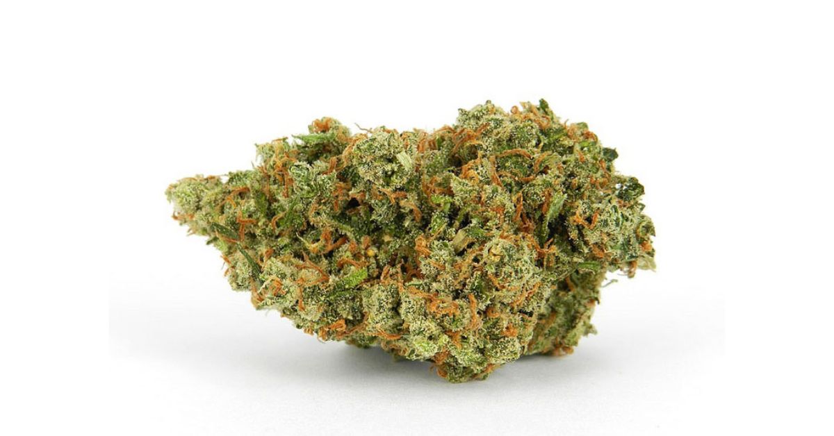 How Does Jack Herer Compare to Other Sativa-Dominant Strains?