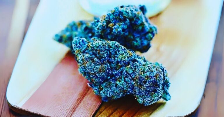 blue dream bud strain