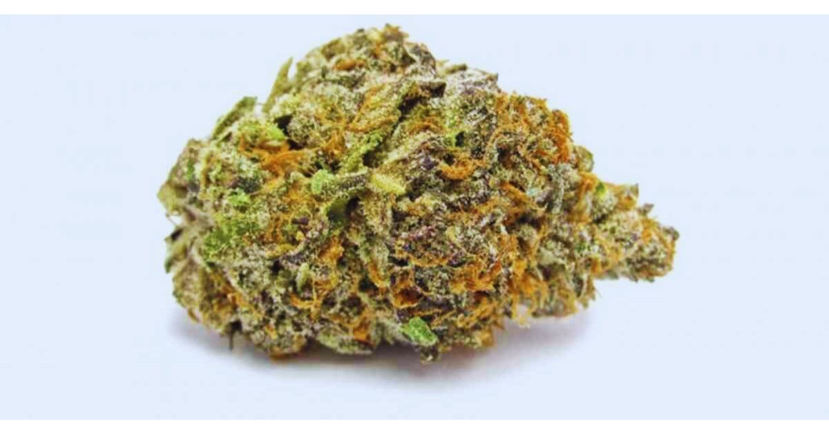 Why Buy Glitter Bomb Weed Strain?