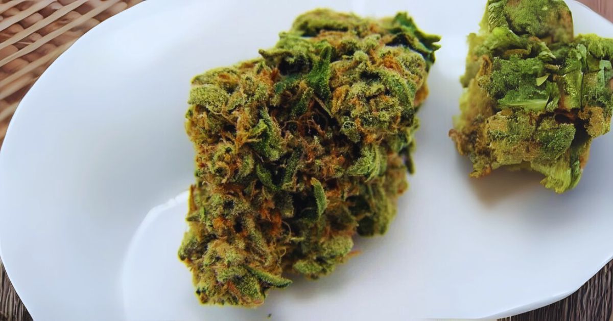 Tracing the Origins of Green Crack Strain