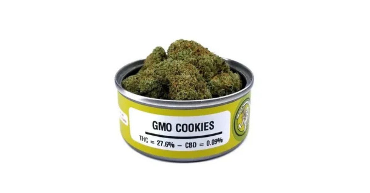 gmo cookies strain