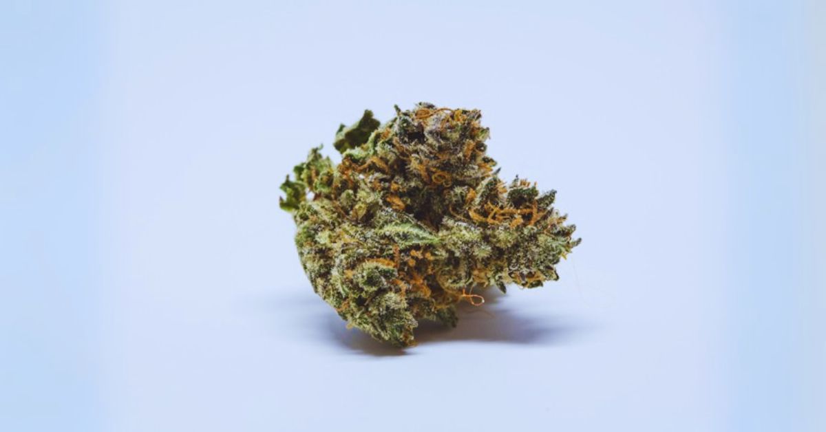 blue dream strain