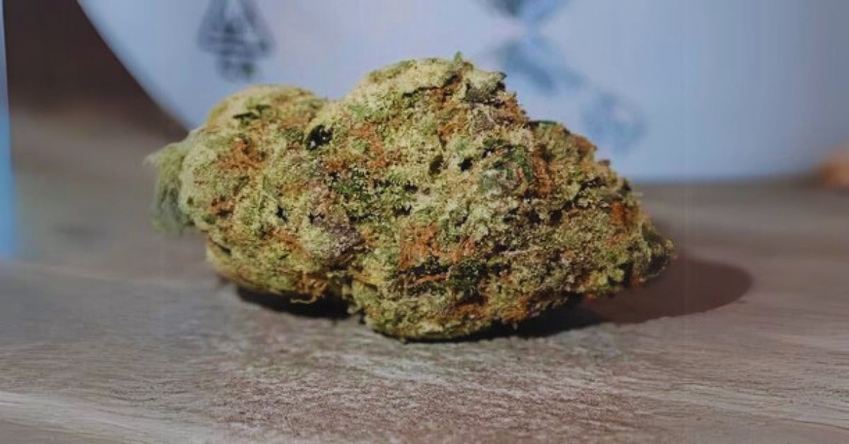 Who is Lemon Cherry Gelato?
