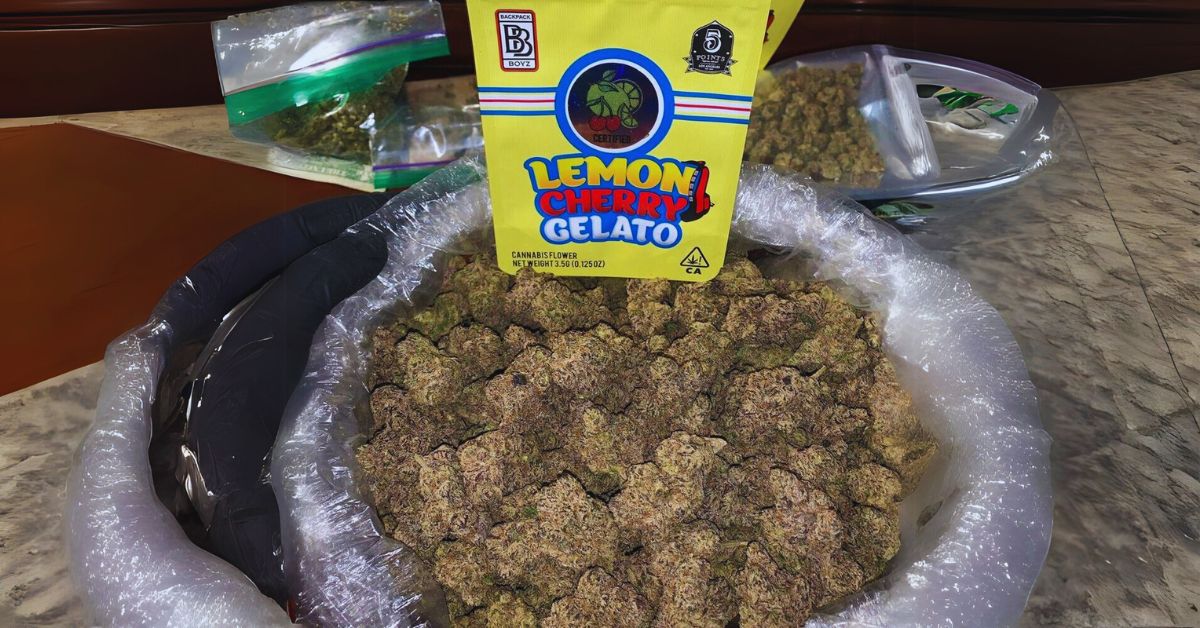 Lemon Cherry Gelato Strain Effects and Benefits