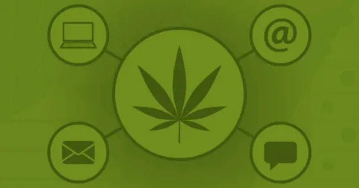 Which Email Marketing Platforms Are Cannabis Friendly