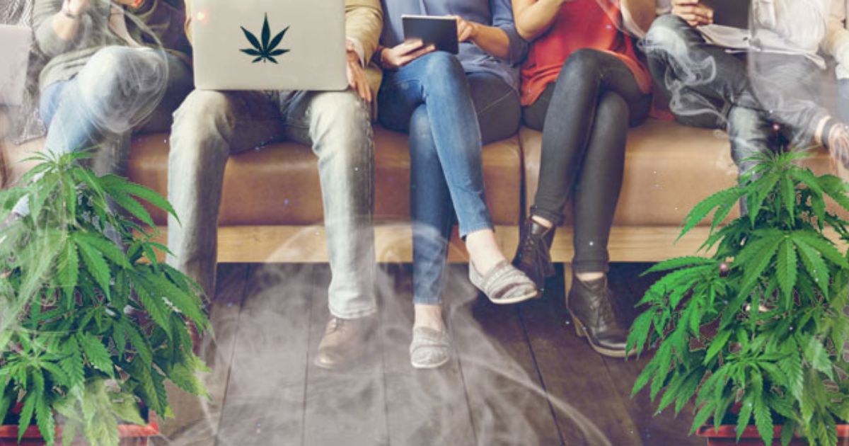 The Basics of Search Engine Marketing for Cannabis Businesses