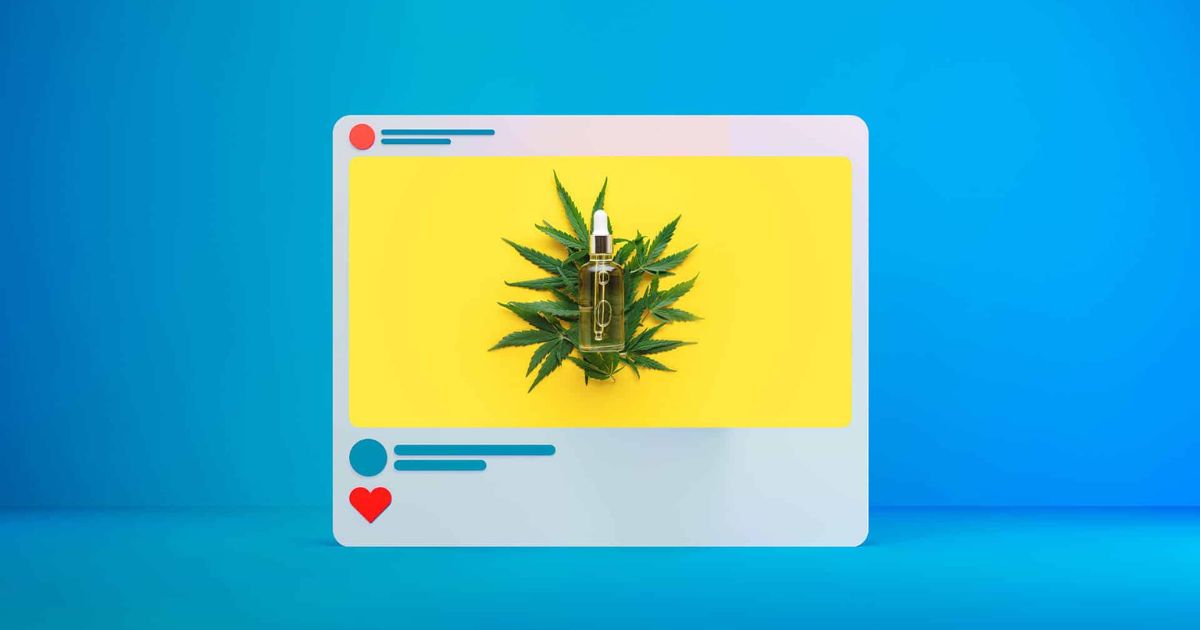 Which Email Marketing Platforms Are Cannabis Friendly
