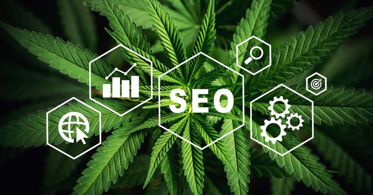 The Basics of Search Engine Marketing for Cannabis Businesses