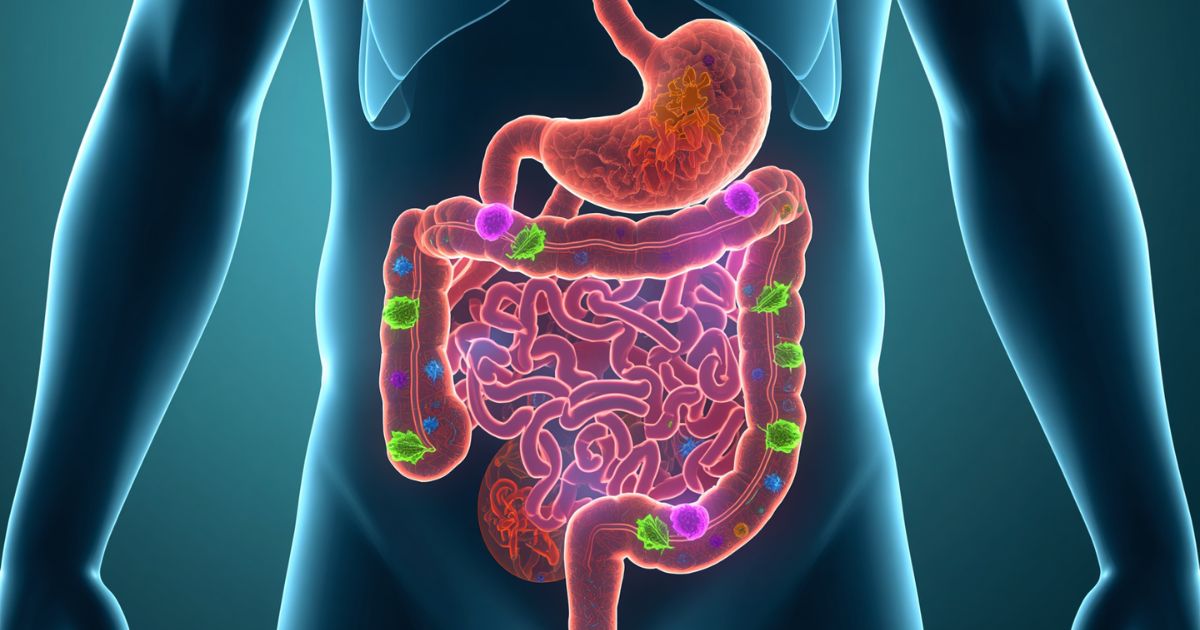 Is CBD Good for Gut Health