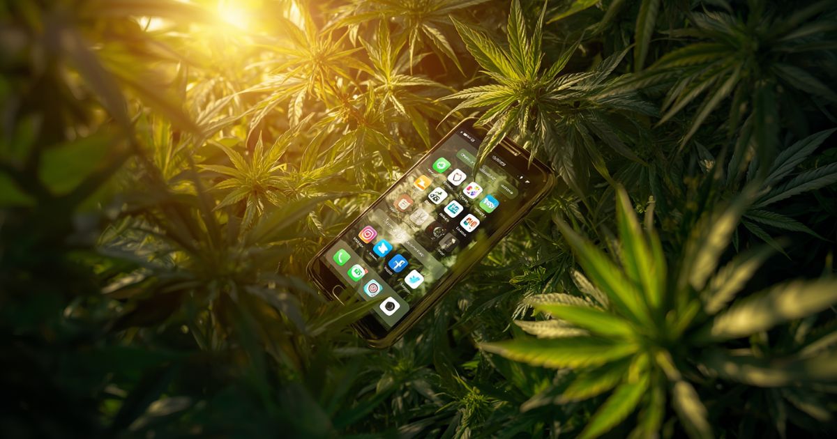 How to Grow Your CBD Brand Using Social Media